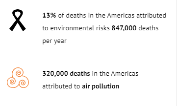 Environmental Determinants